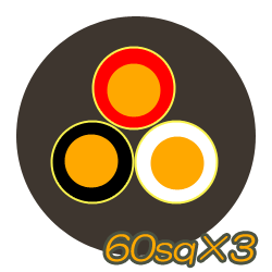 2PNCT60sq×3C 50m