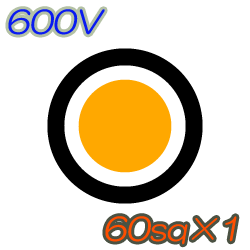 CV60sq×1C　100m