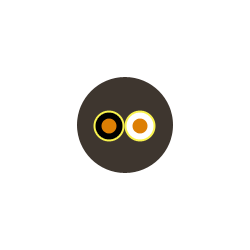 2PNCT1.25sq×2C 50m