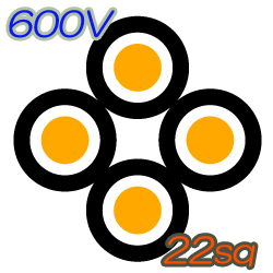 600V CVQ 22sq  50m