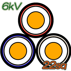 6kV CVT22sq　50m