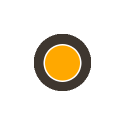 WCT22sq　100m